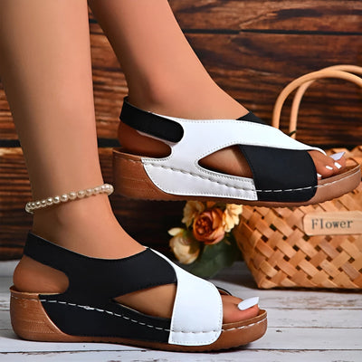 Dawn | Comfort and Style