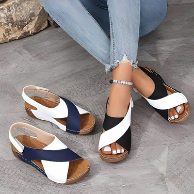 Dawn | Comfort and Style